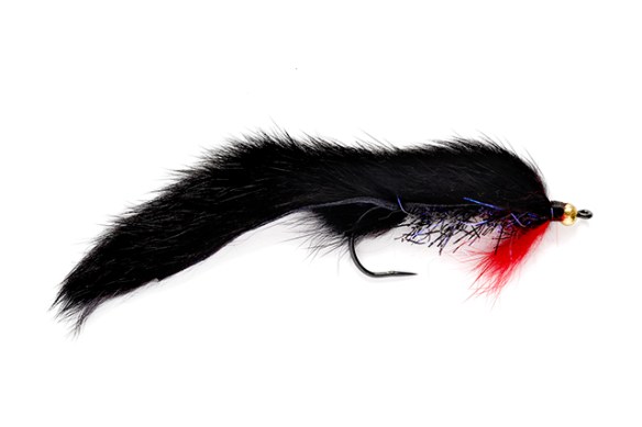 yukon-black_bunny.jpg blog