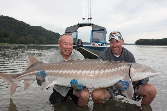 Chilliwack Canada sept 2010 192.jpg blog