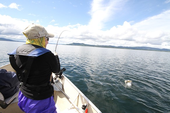 Copy of IMG_0840.jpg blog