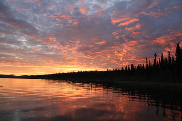 Copy of IMG_1001.jpg blog