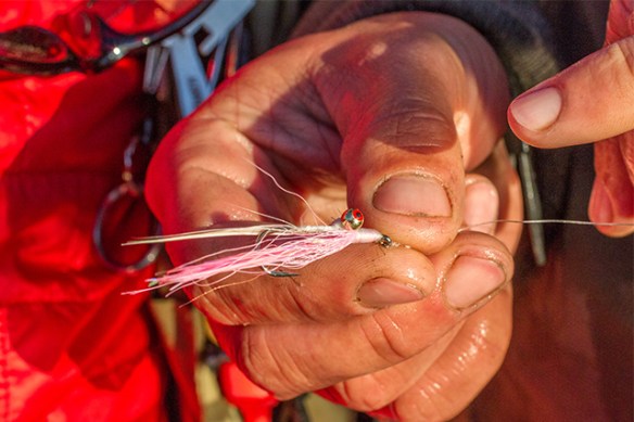 Clauser pnk and white top fly