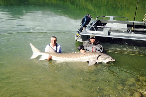Ray and one of his big sturgeon