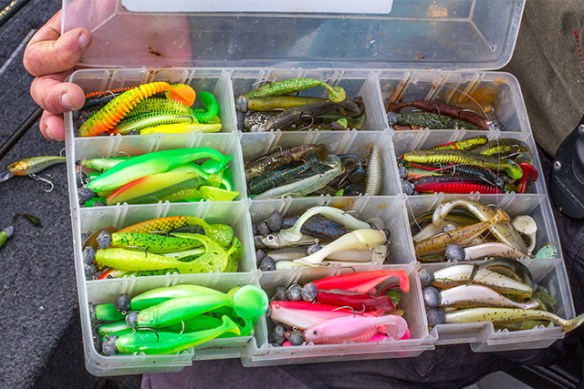 holland-guided-shads