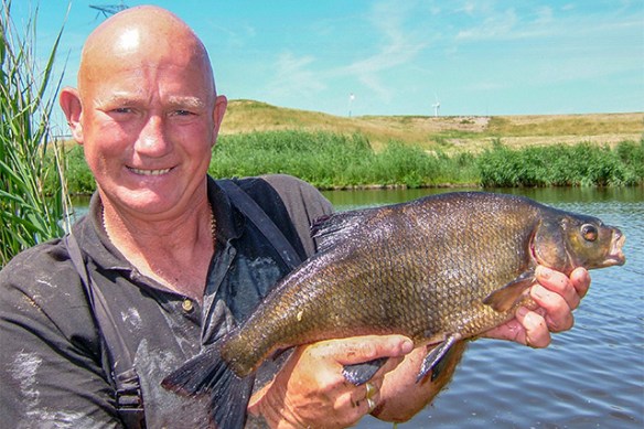 Bream-Holland-blog