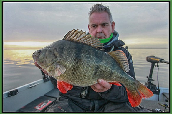 Rob-big-perch-Guided-Holland