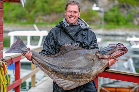 blog-skjervoy-halibut