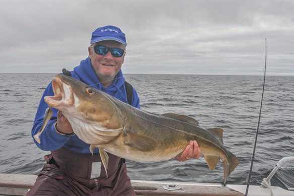 DaveLewis-Torsvik-Cod