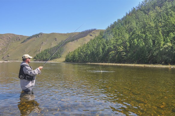 FLY FISHING ACTION, MONGOLIA
