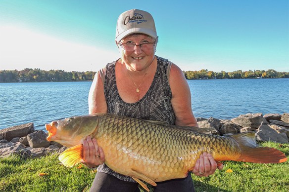 cats-personal-best-31-lb